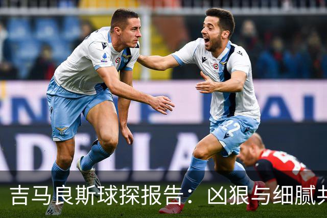 吉马良斯球探报告：凶狠与细腻共存，阿森纳这7500万花的太值
