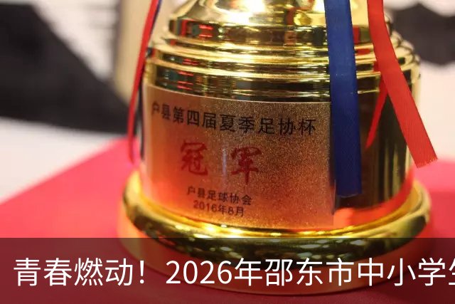 青春燃动！2026年邵东市中小学生班BA总决赛点燃激情