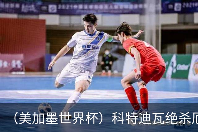 （美加墨世界杯）科特迪瓦绝杀厄瓜多尔 瑞典5:1大胜突尼斯